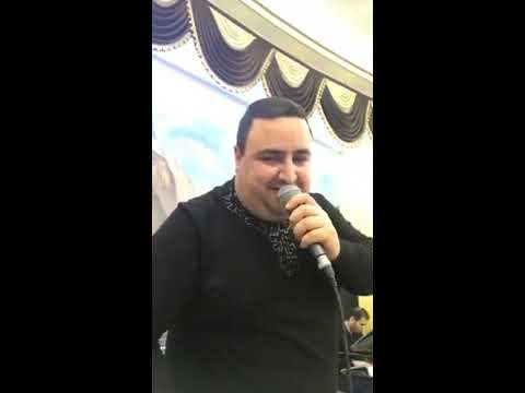 Kolo Karapetyan Tariner Bomb Sharan