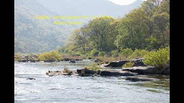 Kodaly : String Quartet No. 1