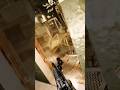 VR Tarkov has some INTENSE moments! #escapefromtarkov #vrgaming #sptrakori_official #spt #tarkov
