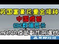 英国富豪花重金接种中国疫苗、美国CDC数据显示mRNA疫苗副作用堪忧、多国元首接种中国灭活疫苗、美国抹黑中国灭活疫苗却无从下手