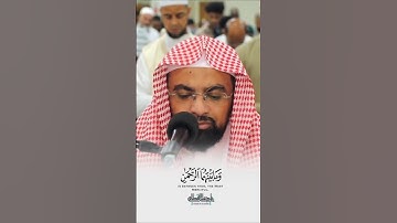 خواتيم سورة النبأ بتلاوة خاشعة | الشيخ ناصر القطامي #قرآن  #قران_كريم  #ناصر_القطامي #ناصرالقطامي