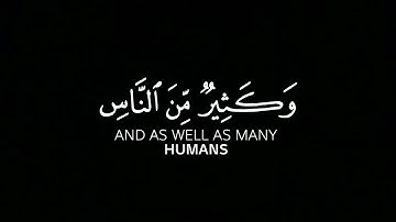 كرومات شاشة سوداء | كرومات آيات قرانية | ألم تر أن الله يسجد له من في🎧♥️ | القارئ يارسر الدوسري