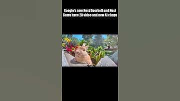 Google Nestドアベルとカメラが2Kビデオと驚異的なAI機能を搭載