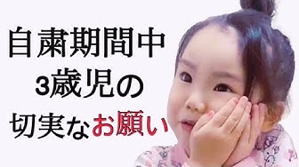切実な願い Youtube