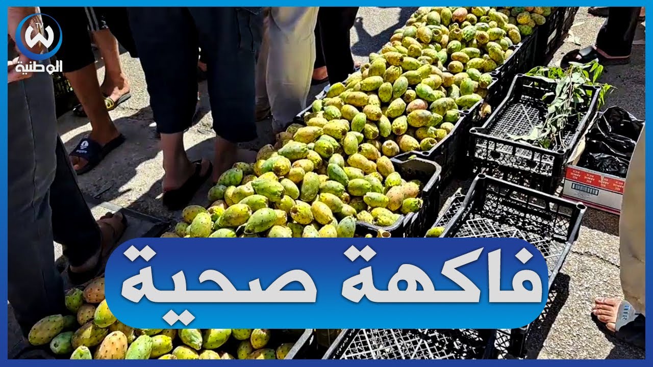 ميلة..إقبال كبير على فاكهة التين الشوكي 