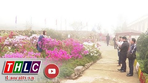Đảm bảo nhu cầu đi lại của người dân dịp nghỉ lễ 30/4 - 1/4| THLC