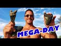 Megalodon GRAVEYARD - One Day, THREE HUGE Teeth with AquaNutz Scuba Charters near Venice Florida