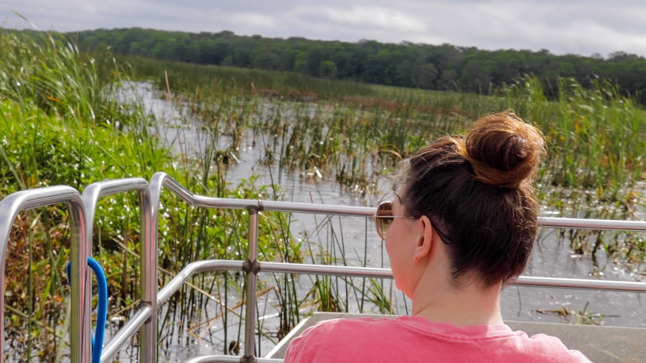 Our Adventure At Wild Florida Riding An Airboat, Encountering Animals ...