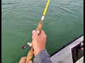Caught a rainbow trout at Henry hagg lake. I was using my vintage eagle claw "golden west" rod