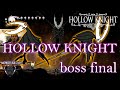 Hollow knight boss final fr