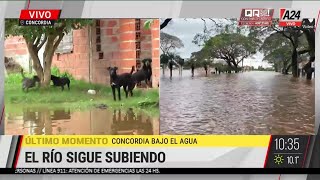 🔴💧 Concordia bajo el agua: 