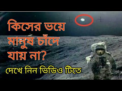 ভিডিও: কীভাবে আপনার কুকুরটিকে সীমান্তের ওপারে পাবেন