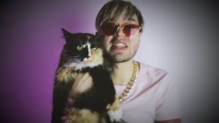 кот заработал лям за минуту