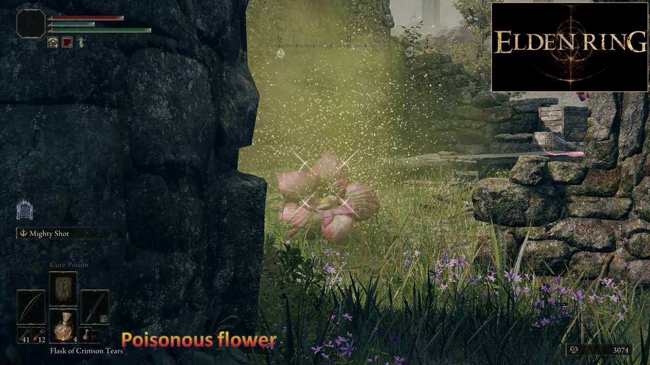 Elden Ring Poisonous flower YouTube