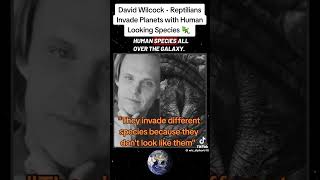 David Wilcock about reptilians