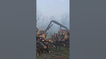 Good Morning 🌄 #logger #trending #tree #logginglife #logging #firewood #loggerlife #excavator