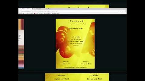 "Execute" and "Control" | PXL Zine Issue 1 & Expansión Radial Feature | PXLTV9 | Part 4