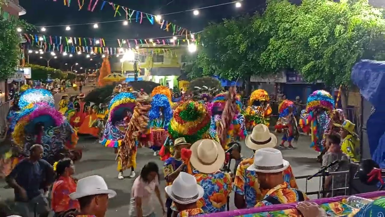 Galo Dourado em lagoa de Itaenga 11/02/2024