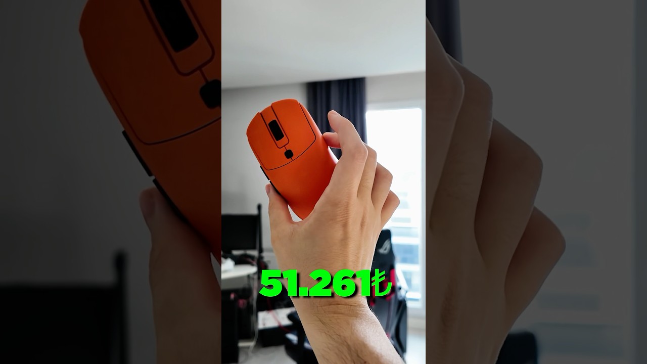 DEV MOUSE KOLEKSİYONUMUN FİYATI!!