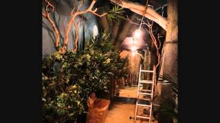 Thorpe Park | New for 2015 - Im A Celebrity... Get Me Out Of Here!
