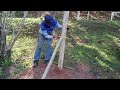 Projeto novo pitayal em espasdeira/capitúlo 2 @zedocafeoficialzedocafe8719 @agostinharamos8841 