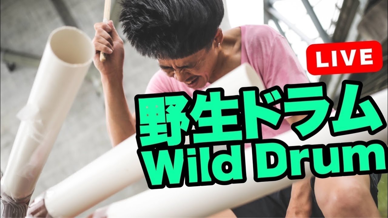Wild Drum in Japan #Shorts