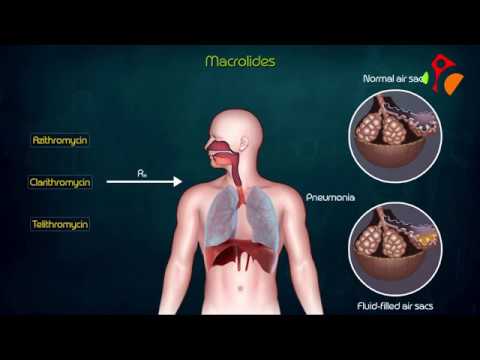 Macrolides Antibiotics Animated presentation- Mechanism of action , Kinetics , Resistance