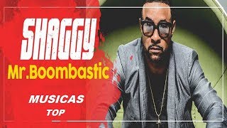 mr boombastic mr shaggy｜TikTok Search