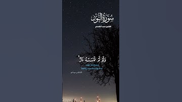 راحةنفسيةسورة النور #سعد_الغامدي #قران_كريم #استغفر_الله #تلاوات #quran #explore #virel #fyp #foryou
