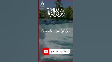تلاوة خاشعه من سورة النبأ🎙🌿♥️ | السورة كامله في القناه