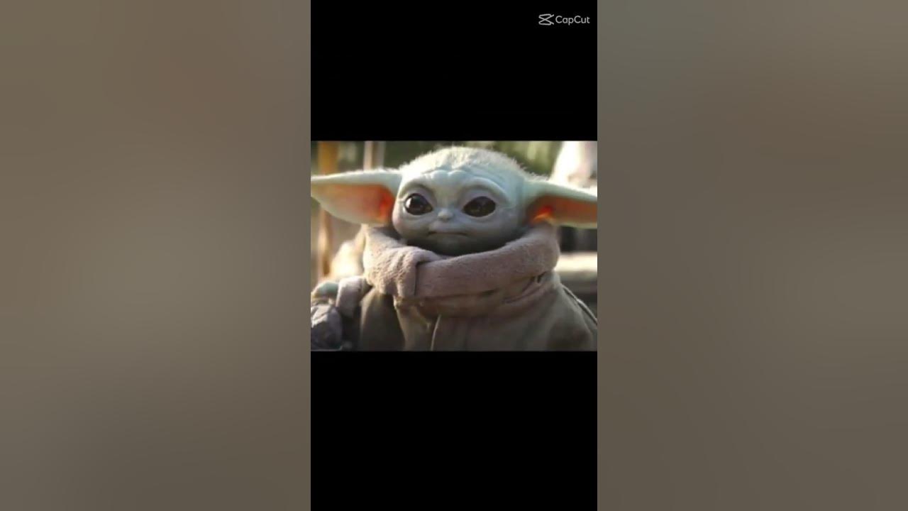 Грого!!!🤩🤩🤗🤗😎😎😎😎 - YouTube