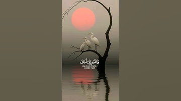 ويا قوم اني اخاف عليكم يوم التناد || سورة غافر || #القرآن_الكريم #المصحف