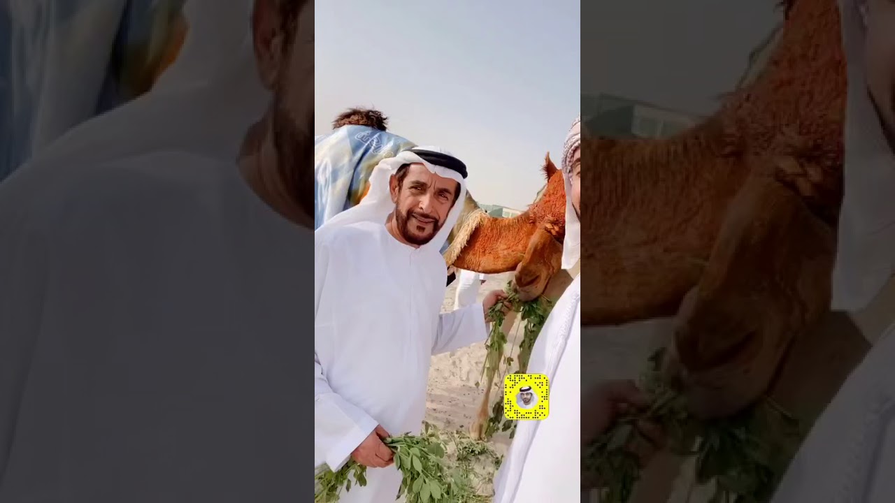 مياسة بن حموده_ تأثر سعادة فري بن حموده من قرار عزل مياسة السيوف وحديثه عن هذي اللحظه (وداعاً مياسه)