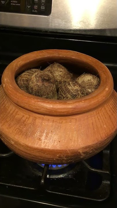 how-to-cook-taro-root-in-a-claypot-shorts-v-336-youtube