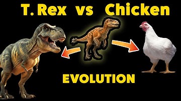 Did T. Rex Really Turn Into a Chicken? (T-Rex vs Chicken)