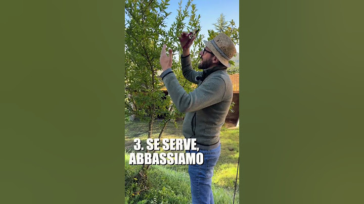 POTARE IL MELOGRANO: come e quando