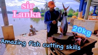 Fish cutting skills Negombo Diwara Port Sri Lanka cutfish amazingfishcuttingskills amazingfishing