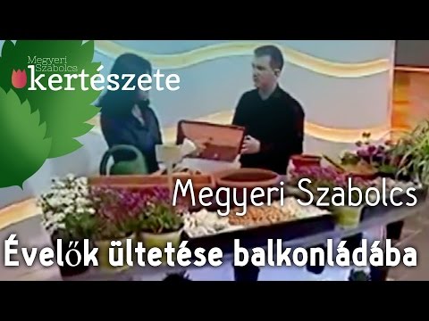 Videó: Tájrendezés téglafalakkal szemben – Mit ültessünk a téglaalapzatok közelében