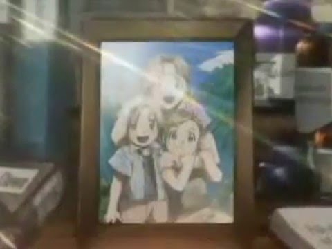 Amv Fma