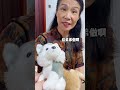 手工 DIY用小侄子的娃娃给猫猫做了个头套 手工 DIY用小侄子的娃娃给猫猫做了个头套