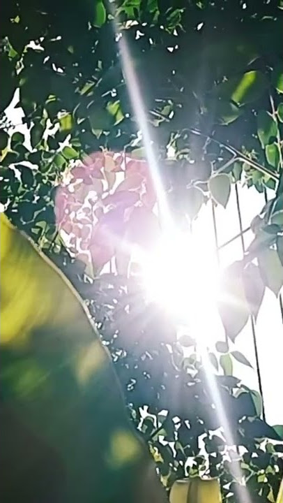 Jawab Cinta - dUA (Original Soundtrack from the Movie 'Wedding Agreement') #weddingagreement