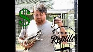 HOW MUCH DOES IT COST TO FEED A TEGU?