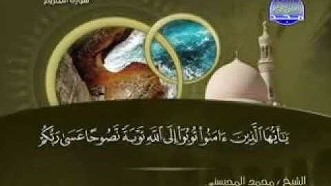 066 سورة التحريم كاملة الشيخ محمد المحيسني