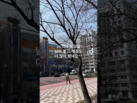 2026년 3월 28일
