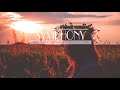 (Steve Reece Remix) - Symphony - Clean Bandit  ft. Zara Larsson  [Lyrics Vietsub]