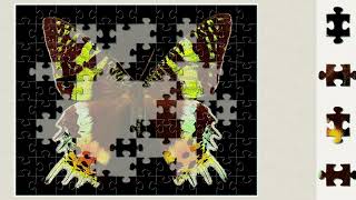 PuzzleS 🧩🧩 /beautifu butterfly 🦋 l puzzle//jigsaw puzzles game//jigsaw puzzle//jigsaw puzzle game// screenshot 5