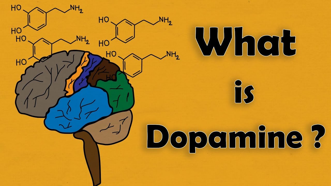 What is Dopamine ? [ Hindi ]
