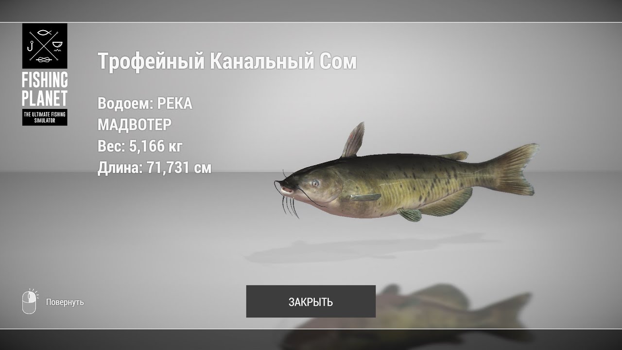 Fishing planet мадвотер