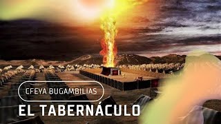 El Tabernáculo | Las columnas