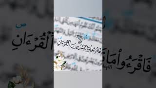 فاقرءوا ما تيسر من القران #ياسر_الدوسري #quran #حالات_واتس#قران_كريم#حالات#واتساب#explore#shortvideo